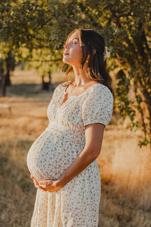 The Meyers Dress - Brown Floral